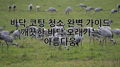 바닥 코팅 청소 완벽 가이드: 깨끗한 바닥, 오래가는 아름다움 ✨