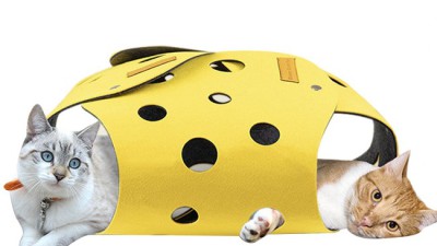 냥이들의 행복 충전! 고양이치즈터널 득템 후기🧀✨